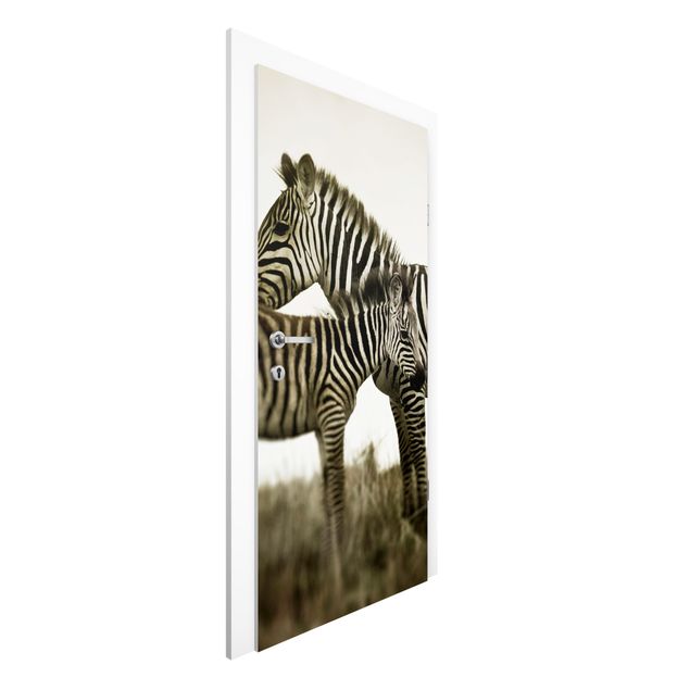 Carte da parati con zebre Coppia di zebre