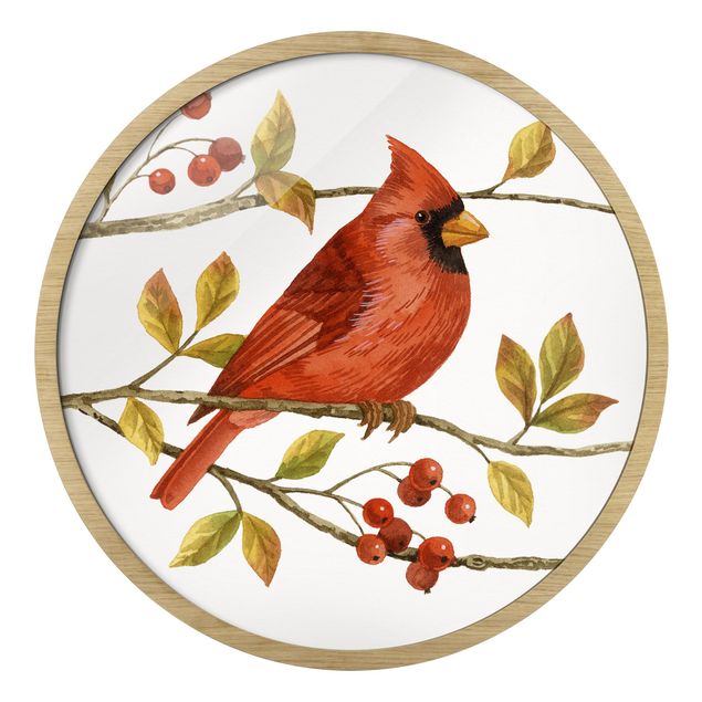 Quadro rosso Uccelli e bacche - Cardinale del Nord