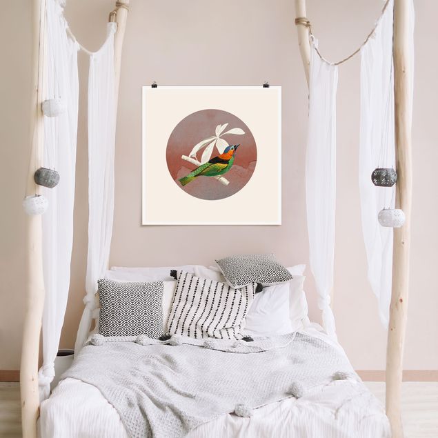 Poster animali Collage di uccelli in un cerchio ll