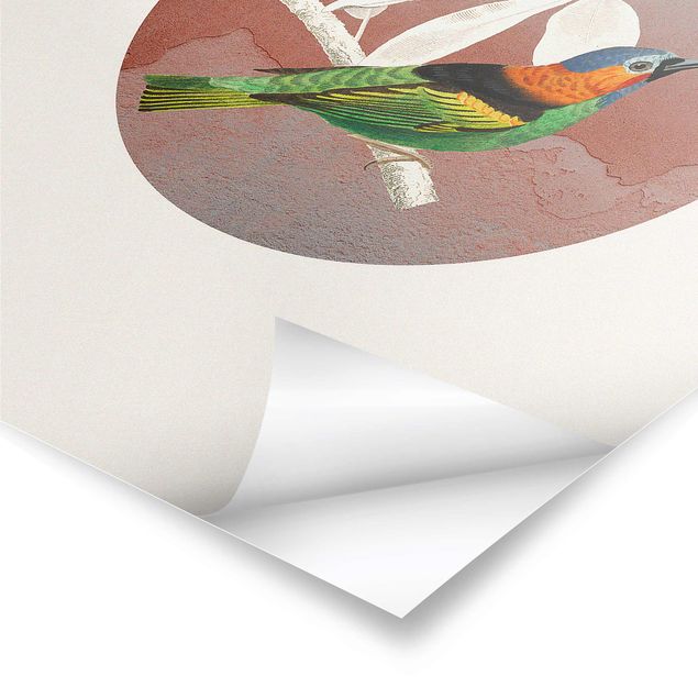 Poster - Collage di uccellini in cerchio II