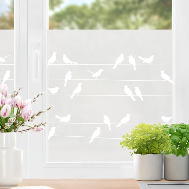 Adesivi per vetri con animali Stormo di uccelli