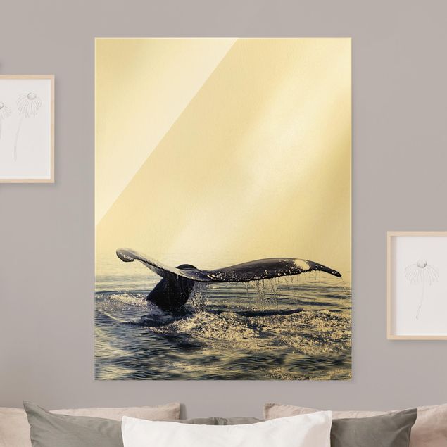 Quadro moderno Canto di balena in Islanda