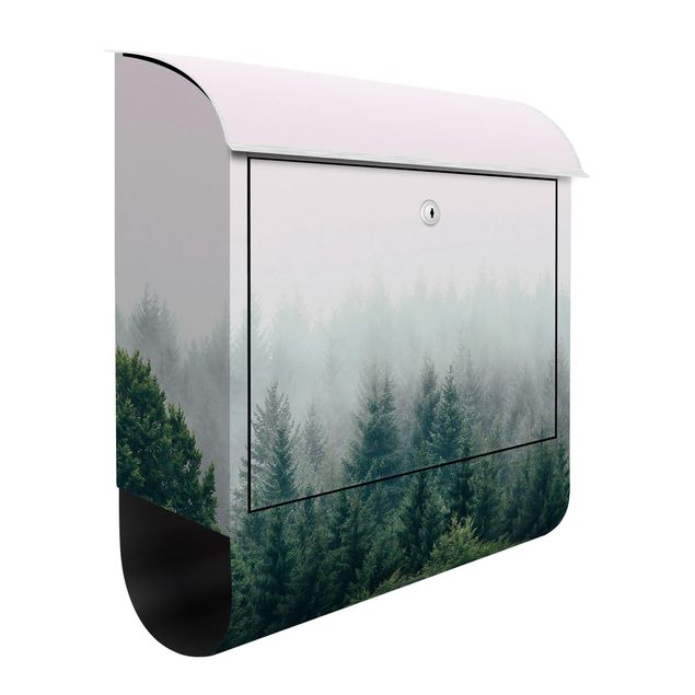 Cassette della posta con paesaggio Foresta nebbiosa crepuscolo