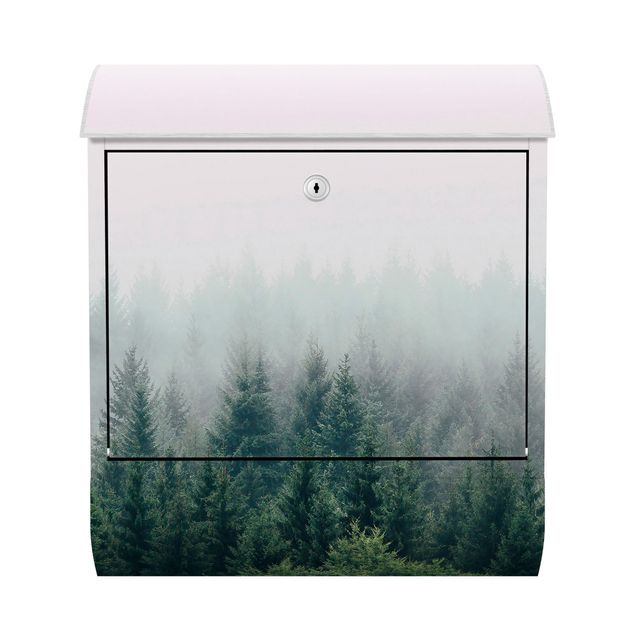 Cassetta della posta verde Foresta nebbiosa crepuscolo