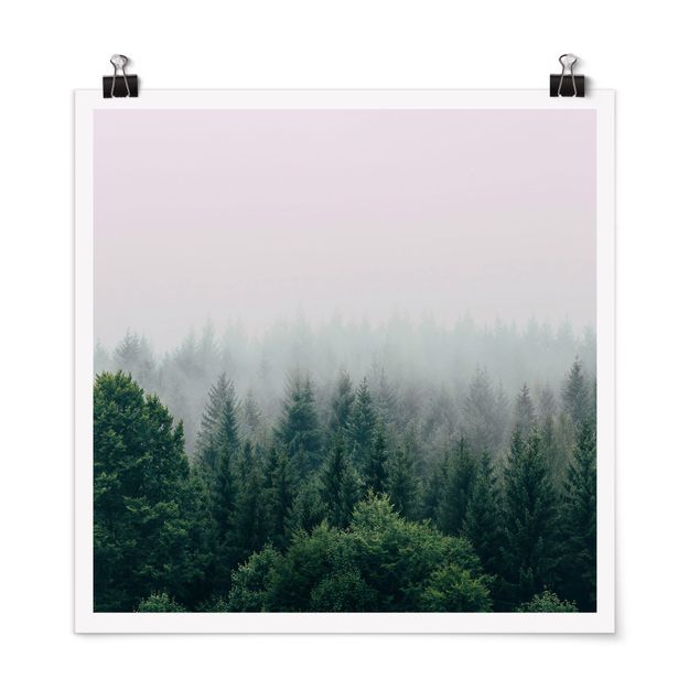 Quadri natura Foresta nebbiosa crepuscolo