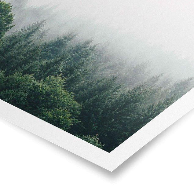 Poster paesaggio Foresta nebbiosa crepuscolo