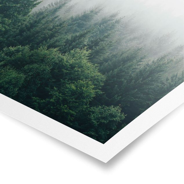 Poster paesaggio Foresta nebbiosa crepuscolo