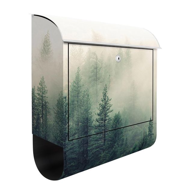 Cassette della posta con paesaggio Risveglio della foresta nebbiosa