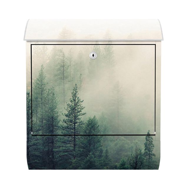 Cassette della posta verde Risveglio della foresta nebbiosa