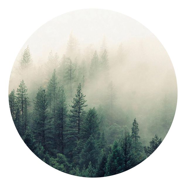 Carte da parati verdi Risveglio della foresta nebbiosa