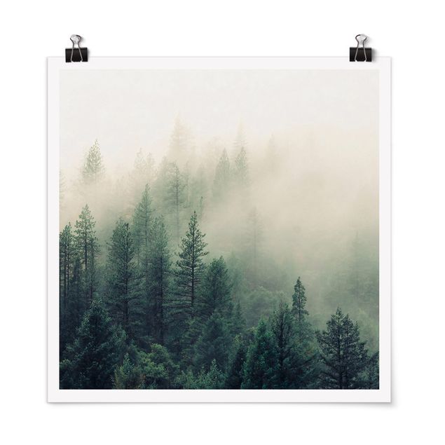 Quadri natura Risveglio della foresta nebbiosa