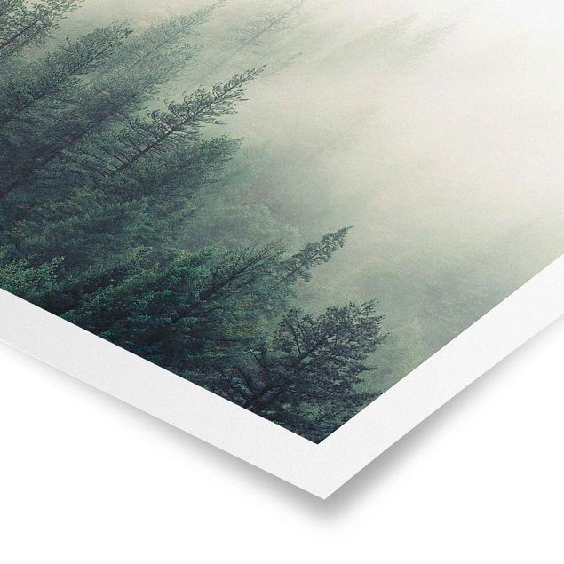 Poster paesaggio Risveglio della foresta nebbiosa