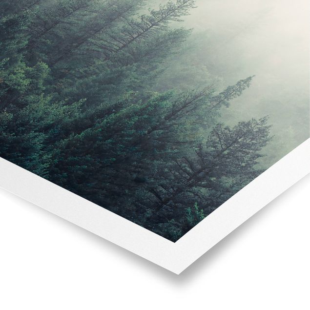 Poster paesaggio Risveglio della foresta nebbiosa