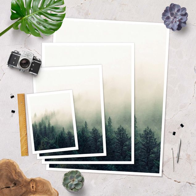 Poster Risveglio della foresta nebbiosa