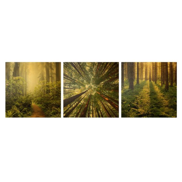 Quadri moderni   Trio della foresta