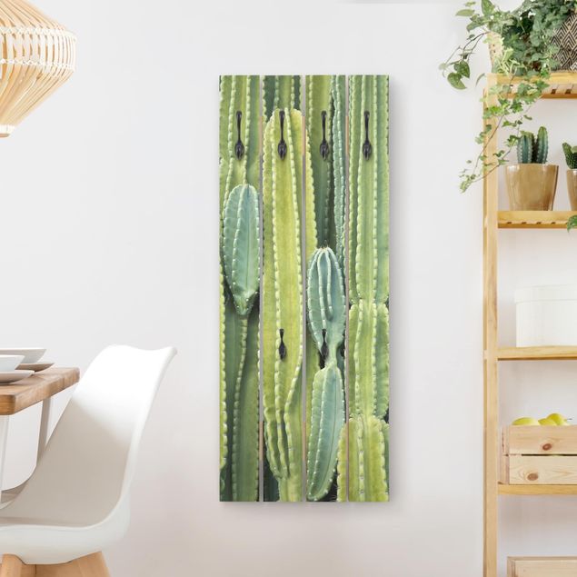 Appendiabiti shabby Muro di cactus