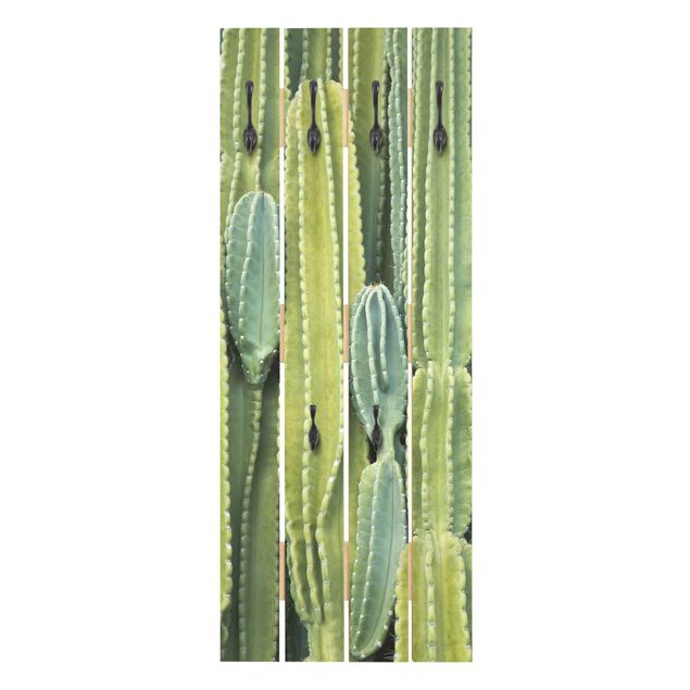 Appendiabiti verde Muro di cactus