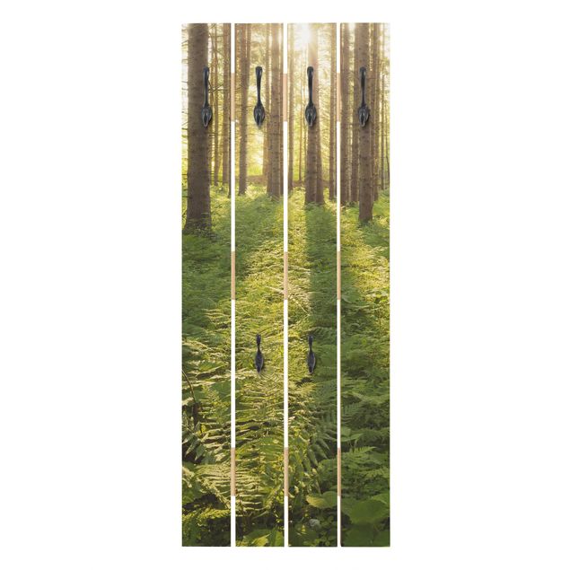 Appendiabiti pannello effetto legno Raggi di sole nella foresta verde