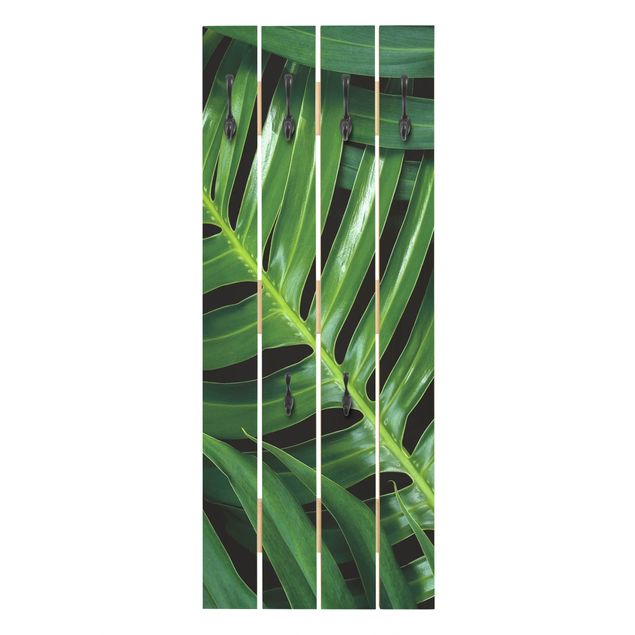 Attaccapanni verde Filodendro a foglie tropicali