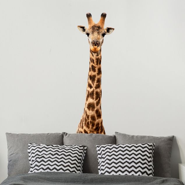 Autocolantes de parede África Testa di giraffa