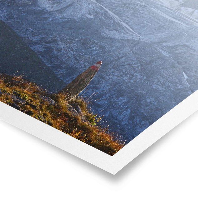 Poster natura paesaggi Sentiero segnato sulle Alpi