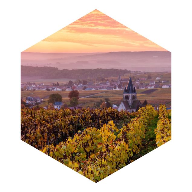 Carte da parati gialle Piantagioni di vino al tramonto