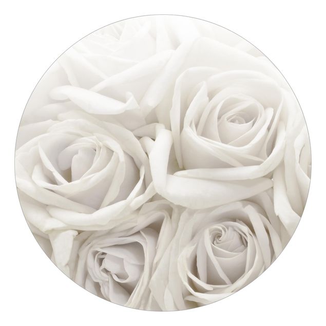 Carte da parati moderne Rose bianche
