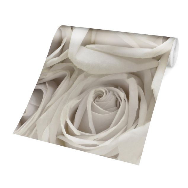 Carta da parati floreale Rose bianche