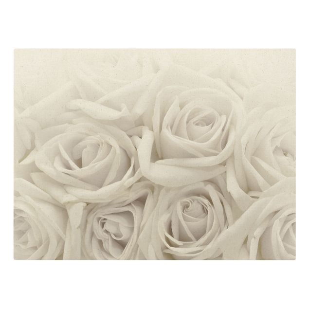 Quadri Rose bianche