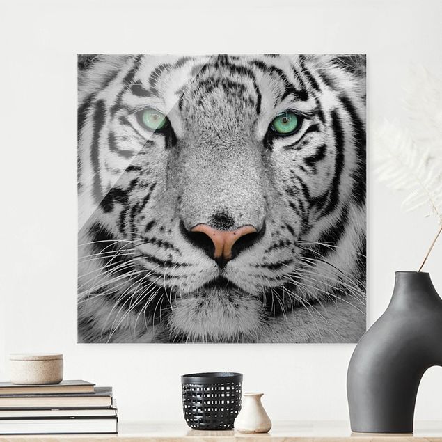 Quadro con tigre Tigre bianca