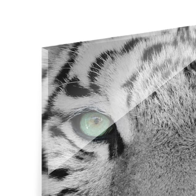 Glas Magnetboard Tigre bianca