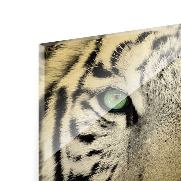 Glas Magnetboard Tigre bianca
