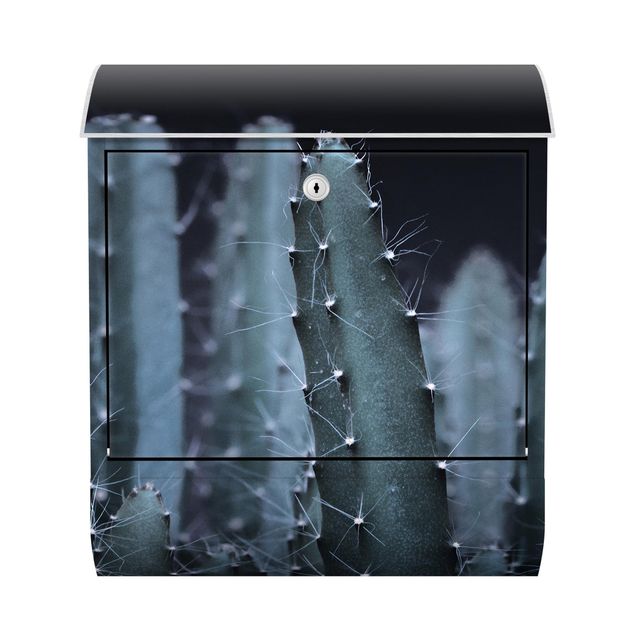 Cassette della posta nere Cactus del deserto di notte