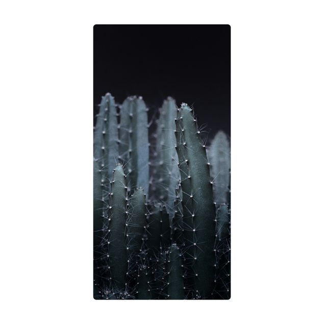Quadri Monika Strigel Cactus del deserto di notte