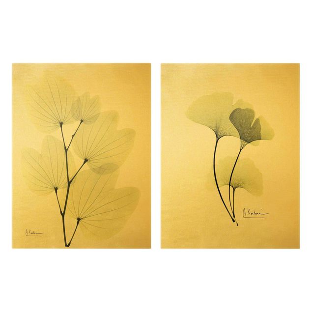 Quadri di fiori X-Ray - Foglie di orchidea e ginkgo