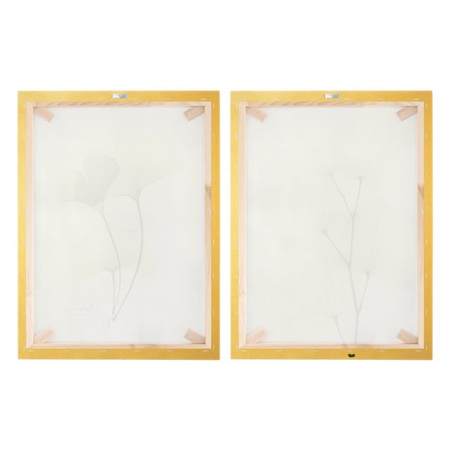 Quadri stampe X-Ray - Foglie di orchidea e ginkgo