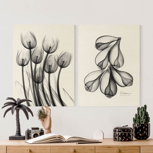 Quadri moderni bianco e nero X-Ray - Tulipani e conchiglie di fico