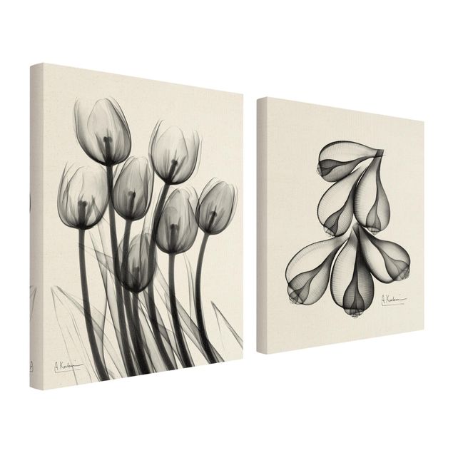 Quadri su tela X-Ray - Tulipani e conchiglie di fico