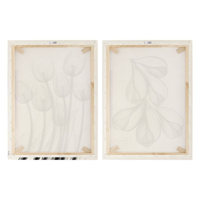 Stampa su tela 2 parti - X-Ray - Tulipani e bucce di fichi