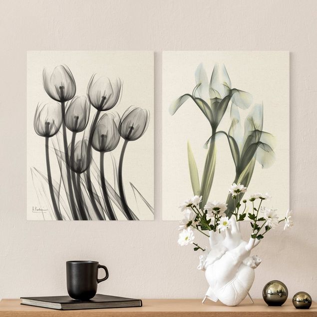 Quadri floreali moderni X-Ray - Tulipani e Iris