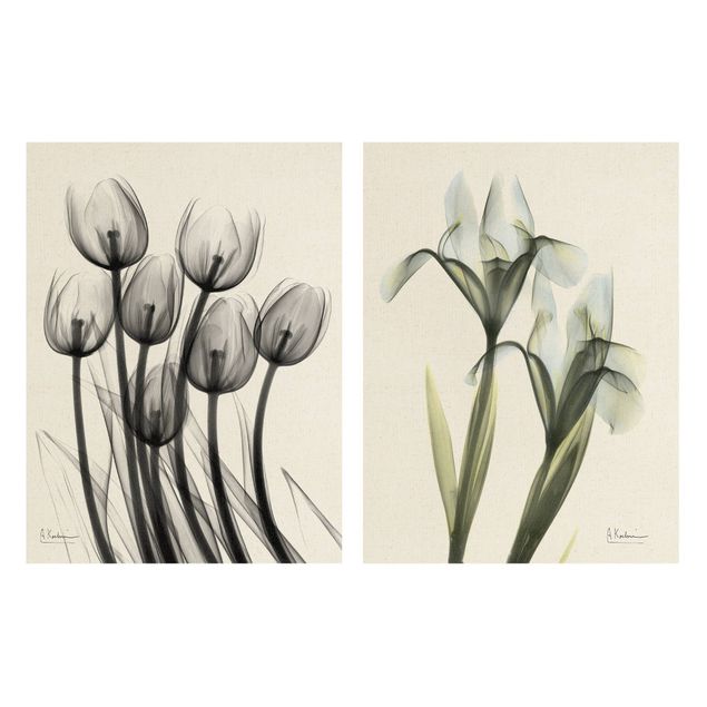 Quadri verdi X-Ray - Tulipani e Iris