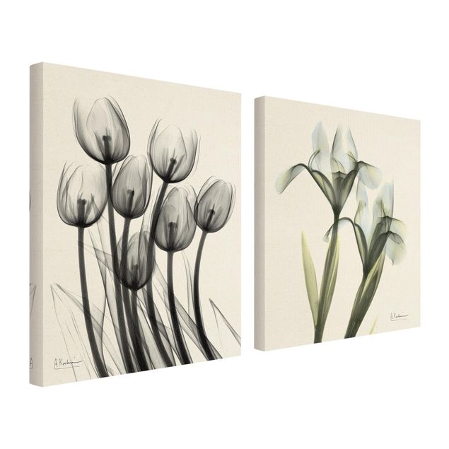 Quadri stampe X-Ray - Tulipani e Iris