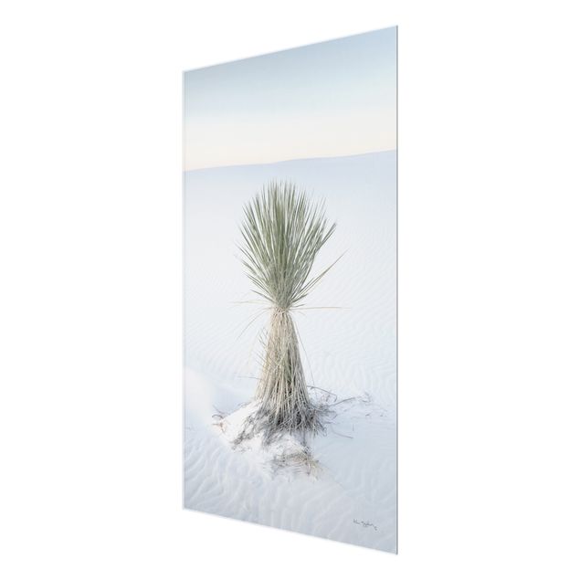 Quadro blu Palma Yucca nella sabbia bianca