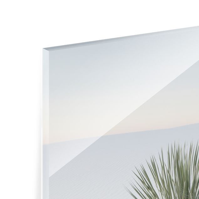 Quadri Palma Yucca nella sabbia bianca