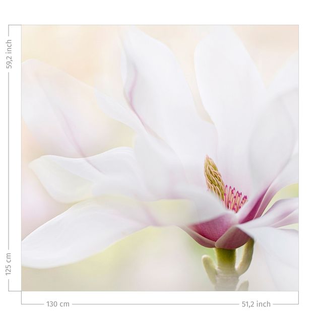 tende con fiori Delicata fioritura di magnolia