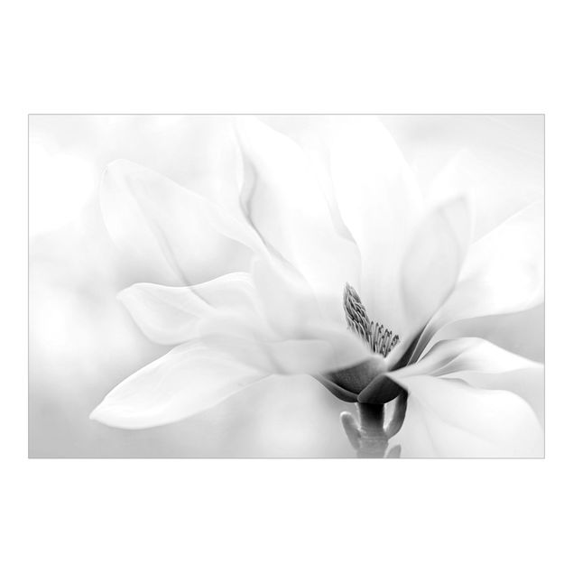 Carta da parati Delicata fioritura di magnolia in bianco e nero