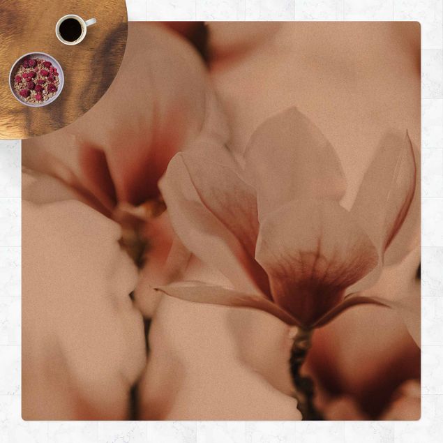 tappeti floreali Delicati fiori di magnolia in un gioco di luci e ombre