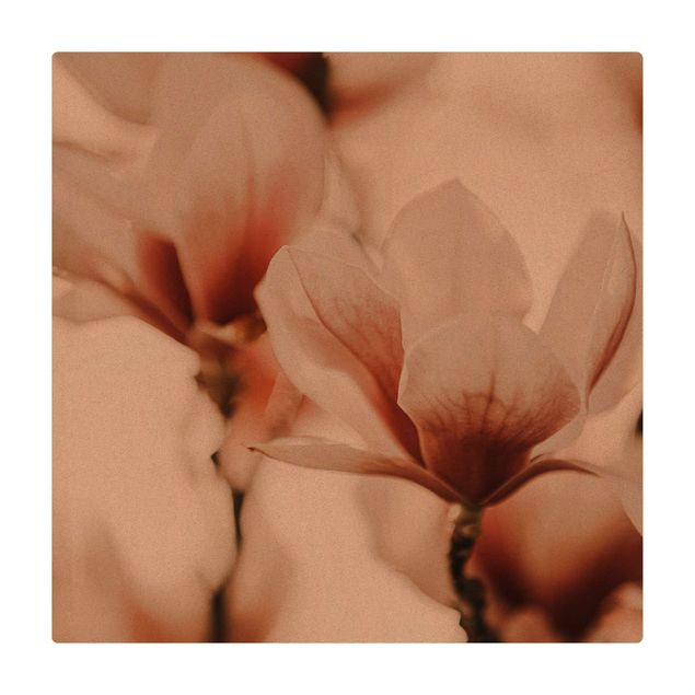 Tappetino di sughero - Fioriture di magnolia delicate nel gioco di luce - Quadrato 1:1
