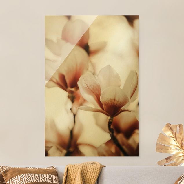 Quadro moderno Delicati fiori di magnolia in un gioco di luci e ombre