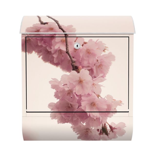 Cassette della posta rosa Fiore di primavera rosa pallido con bokeh